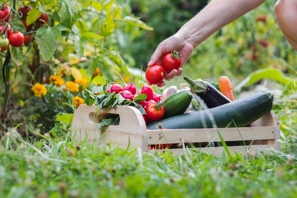 What Are The Benefits Of Organic Gardening